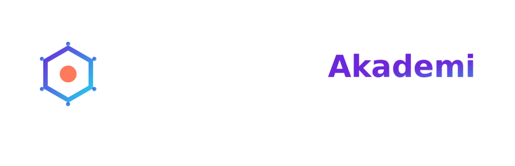 burakozenakademi.com
